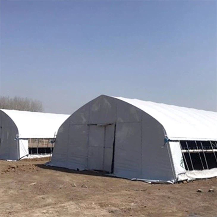 Blackout Greenhouse For Mushroom And Cannabis