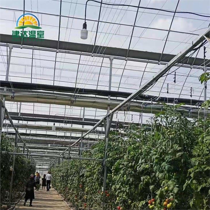 Commercial Greenhouse