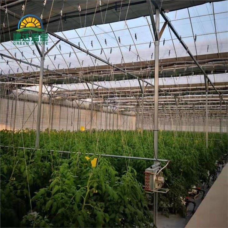 Commercial Greenhouse