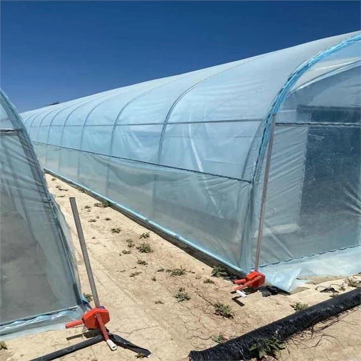 Double Layer Film Greenhouse For USA Market