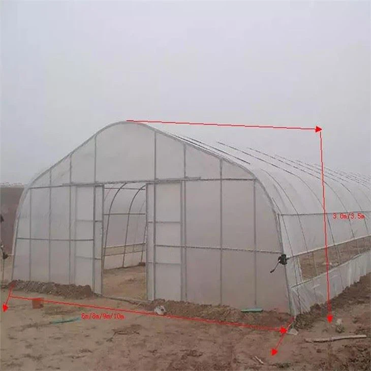 Single Hoop Greenhouse For Garden With Irrigation
