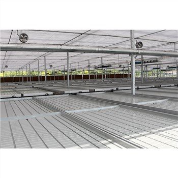 온실 시드 베드