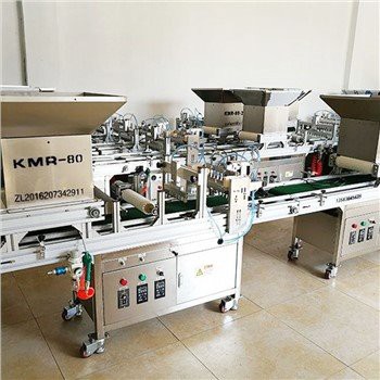 온실 야채 파종 기