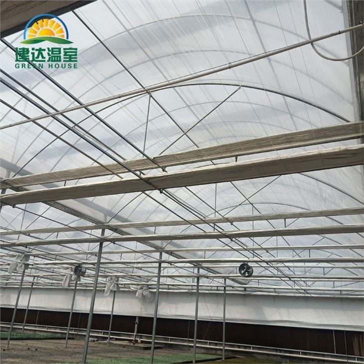 Vegetable Lettuce Greenhouse With Hydroponic
