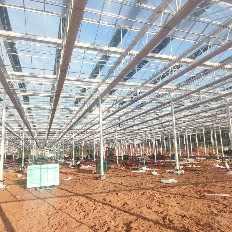 agriculture greenhouse agriculture greenhouse